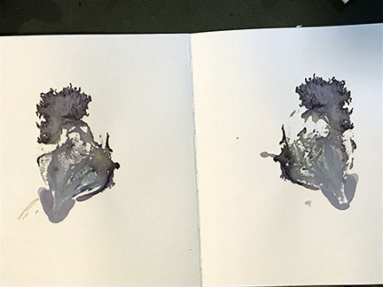 unique bearded iris print, 9.5 in. x 15.25 in.