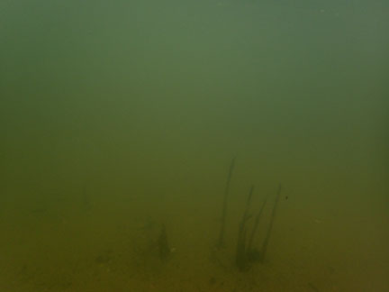 underwater series