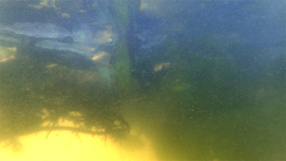 underwater series